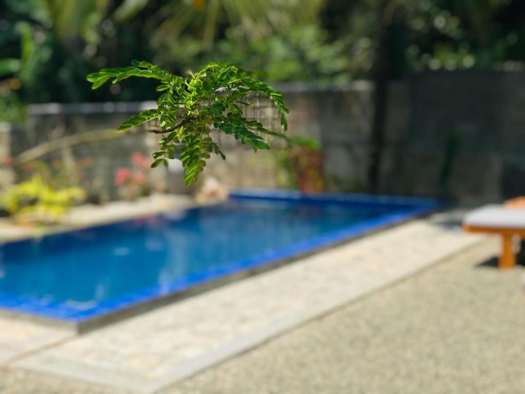 Peaceful Green Villa Unawatuna Exteriér fotografie